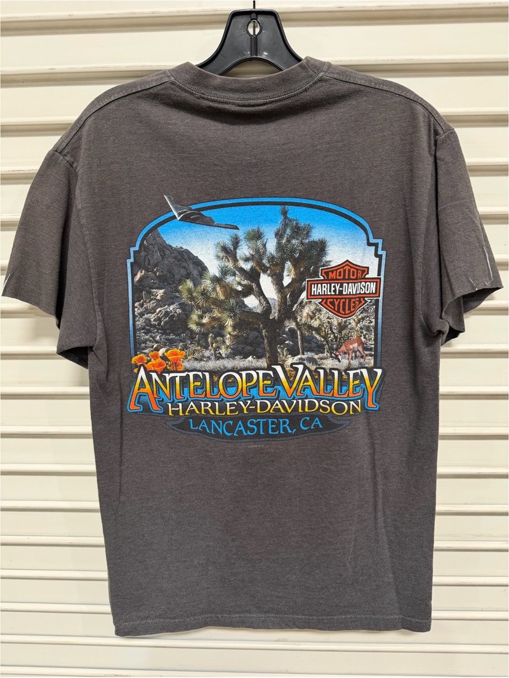 Harley-Davidson Antelope Valley Graphic Tee - Charcoal